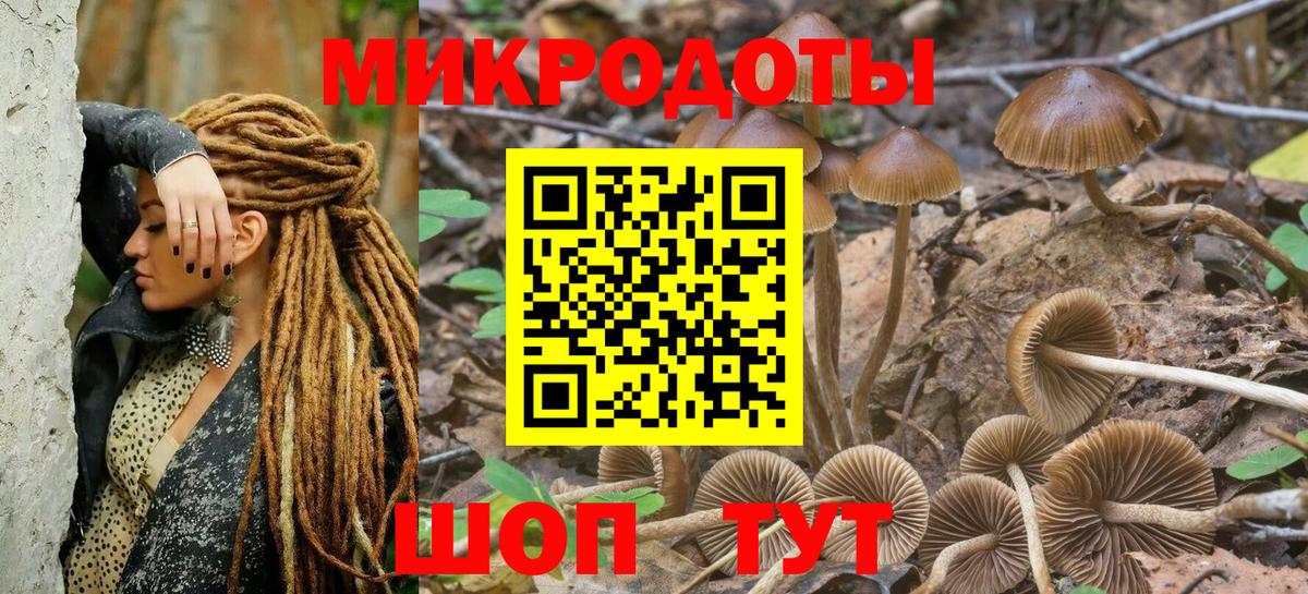 Галлюциногенные грибы GOLDEN TEACHER  Вход с VPN  наркотики  Красный Сулин 