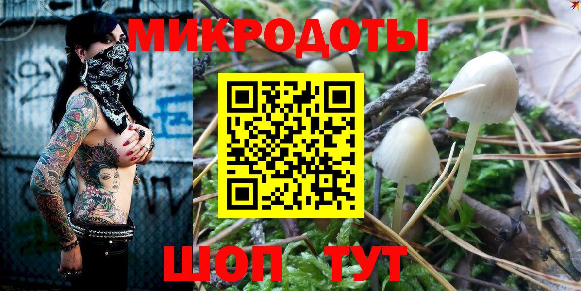 Галлюциногенные грибы GOLDEN TEACHER Красный Сулин